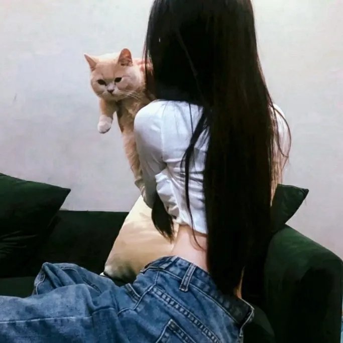 我喜欢的女子 在线观看封面